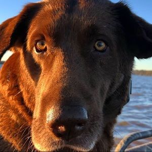 Meet your Posher, Nathaniel